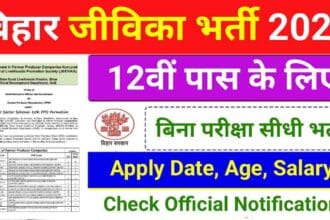 Bihar Jeevika Recruitment 2025
