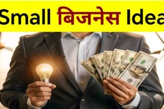 Small Business Idea Bihar