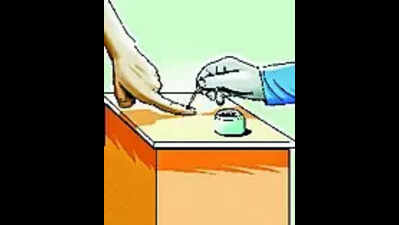 अररिया में चुनाव परिणाम को आकार देंगे युवा मतदाता | पटना समाचार