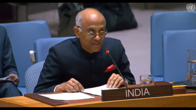 ‘Grave human rights violations’: India slams Pakistan at UNSC; terms fundamental rights ‘alien’ concept in Islamabad | India News