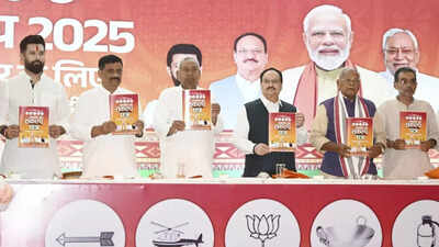 One crore govt jobs & more: NDA releases manifesto for Bihar polls; key promises in ‘Sankalp Patra’ | India News