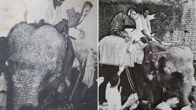 ‘It was raining …’: Congress recalls Indira Gandhi’s 1977 Bihar visit; posts pics of her on elephant | India News