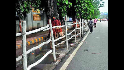 मोदी आज पटना में रोड शो करेंगे, भोजपुर और नवादा में चुनावी रैलियां करेंगे | पटना समाचार