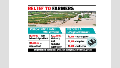 ‘संविधान जीवित है, सर्वोच्च दस्तावेज है’ | पटना समाचार