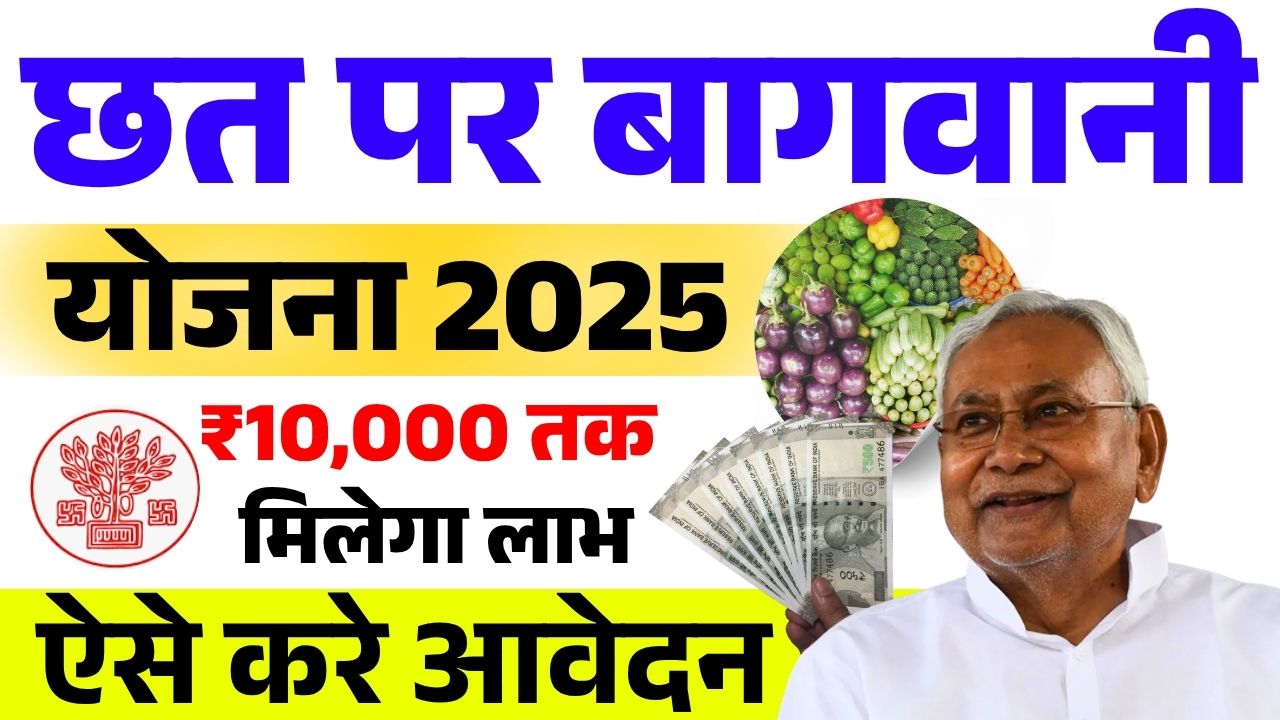 Government is giving grant up to ₹7,500/- for rooftop gardening, know the application process and other information