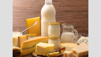 बिहार ने दूध, अंडा और मांस के उत्पादन में रिकॉर्ड वृद्धि दर्ज की | पटना समाचार