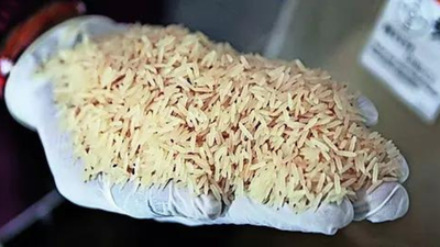 Donald Trump’s rice tariffs threat unlikely to have severe impact on exports | India News