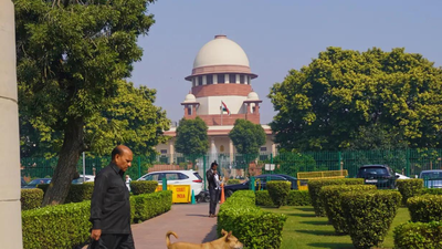EC can’t determine voter’s citizenship, but surely inquire into it: Supreme Court | India News