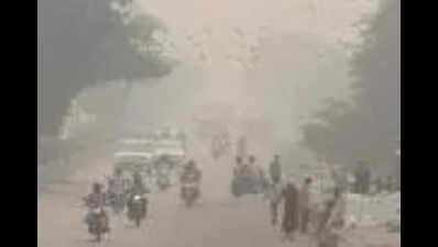 गया में सड़क किनारे की धूल बनी जहरीली: सीयूएसबी अध्ययन | पटना समाचार