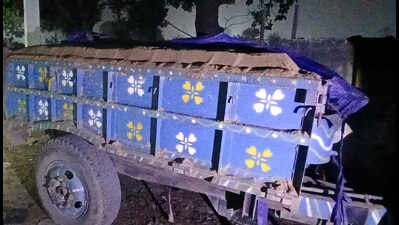 बेउर क्षेत्र में बालू लदे 9 ट्रैक्टर जब्त, एक पकड़ा गया | पटना समाचार