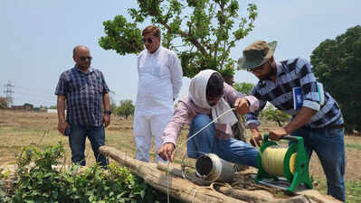 यह कब ख़त्म होगा: शहरीकरण बढ़ने से गया की कृषि भूमि 58% कम हो गई है | पटना समाचार