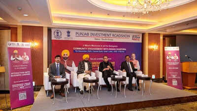 Mann urges Punjabi diaspora in Seoul to help attract Korean investments to Punjab | India News