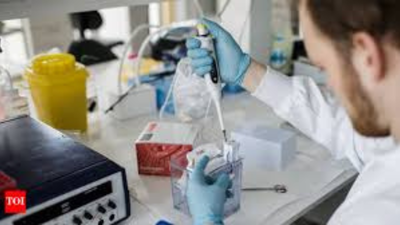 IIT, Australian university develop nanotech drug delivery for breast cancer | India News