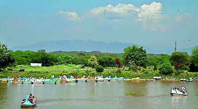 After 30 years, SC says it’s time to let HCs look into state-related green issues | India News