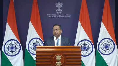 ‘Assure Indians will not be selectively targeted’: MEA’s strong message to China; issues travel advice | India News