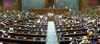Parl panel on bill to ‘decriminalise politics’ to reach out to oppn | India News