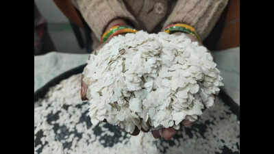 पश्चिमी चंपारण का जीआई-टैग मार्चा चुरा मकर संक्रांति बन गया कई लोगों का पसंदीदा | पटना समाचार